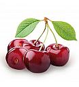 Prunus avium Bigareau Burlat C5 Lit. 80-100 cm Patio (35367)