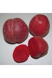 Prunus armeniaca Violet C5 Lit. 125-150 cm