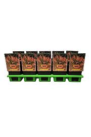 Phygelius rectus Candy Drops Tangerine Ø11