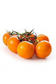 Paradižnik Tutti Frutti Mandarin F1 Ø 10,5