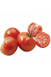 Paradižnik Maestria F1 Ø10,5