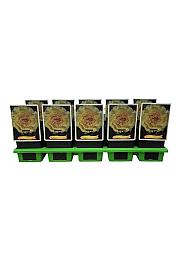 Paeonia lactiflora Shining Light Ø11