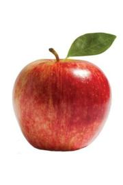 Malus domestica Red Leaf C5 Lit. 80-100 cm Stebričasta