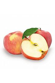 Malus domestica Jonagold C7,5 Lit. 125-150 cm