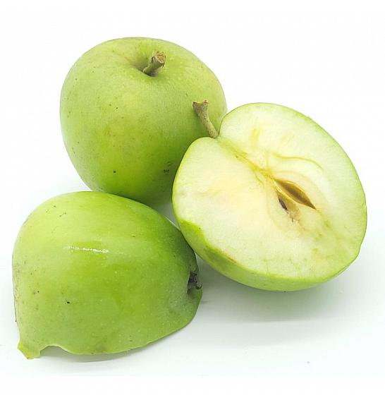 Malus domestica Greencats C5 Lit. 50-60 cm Stebričasta