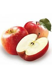 Malus domestica Gala C7,5 Lit. 125-150 cm