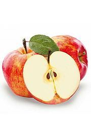 Malus domestica Coxs Orange Pippin C5 Lit. 80-100 cm Patio