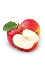 Malus d. Rode Boskoop C7,5Lit. 125-150 cm