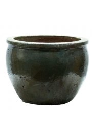 Lonec Zelena;D55H42;5116240