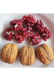 Juglans regia Sychrow C6,5 Lit. 80-100 cm