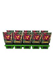 Hemerocallis Excellent Ø11