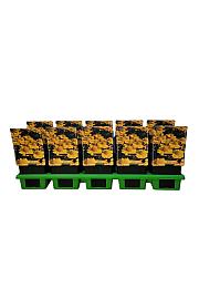 Helenium Kanaria Ø11