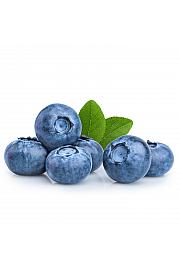 Vaccinium corymbosum Bluecrop C2 Lit. 30-40 cm