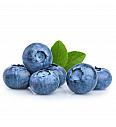 Vaccinium corymbosum Bluecrop C2 Lit. 40-60 cm (30074)