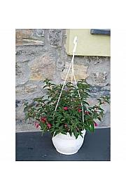 Fuchsia Ø20 obešanka