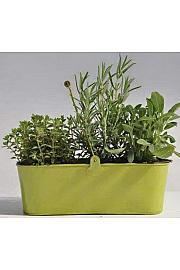 Dišavnice Ø9 mix kovinsko korito