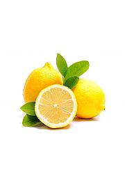 Citrus sinensis Limon Ø35 cm; 130 cm Špalir