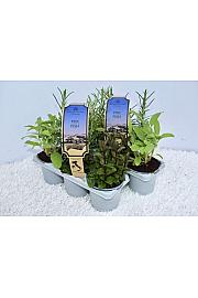 Aroma riserva Ø9 mix 3 pack fish