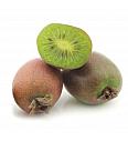 Actinidia arguta Issai C2 Lit. 40-60 cm (25520)