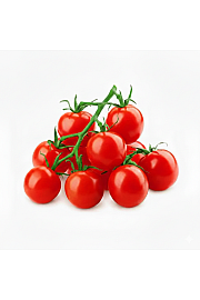 Paradižnik Catch Red Ø10,5