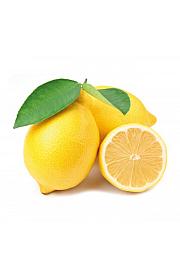 Citrus sinensis Limon Zagara Bianca Ø24 Na steblu 50 cm